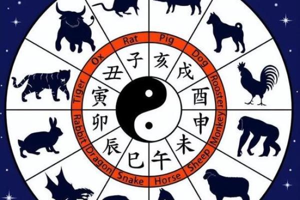 2022年鼠年、虎年,如何破解今年运势的奥秘? 2022年鼠年、虎年,如何破解今年运势的奥秘?