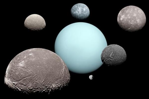 2019年2月属什么命?解析这个月的命理特征与生活启示 2019年2月属什么命?解析这个月的命理特征与生活启示