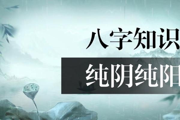 男命生于阴年,揭示命格的奥秘与人生轨迹 男命生于阴年,揭示命格的奥秘与人生轨迹