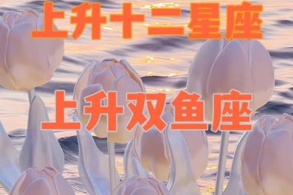 上升星座揭秘:如何读懂你命盘中的人生蓝图 上升星座揭秘:如何读懂你命盘中的人生蓝图