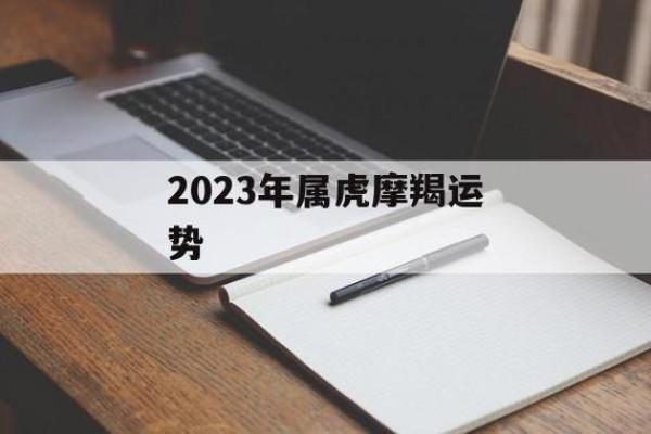 2023年如何选择适合虎命人的事业与生活方向? 2023年如何选择适合虎命人的事业与生活方向?