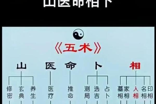 探索命格的奥秘:算不出的命格对我们人生的启示 探索命格的奥秘:算不出的命格对我们人生的启示