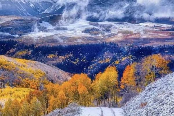 辛丑女命的运势解读:命运虽艰,却别有生机 辛丑女命的运势解读:命运虽艰,却别有生机