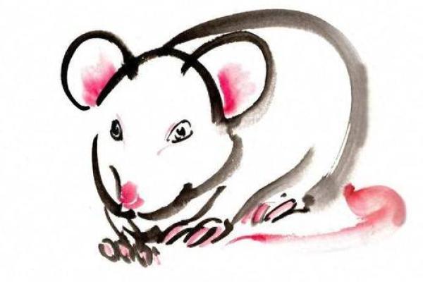 2024年属什么?揭开属鼠的命运之谜与优势! 2024年属什么?揭开属鼠的命运之谜与优势!