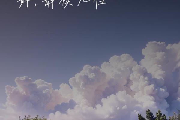 “一命六命”之谜：探寻生命与灵魂的深层含义