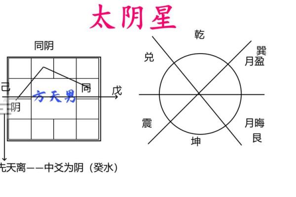 男命太阴星入命的深层解析与生活指导