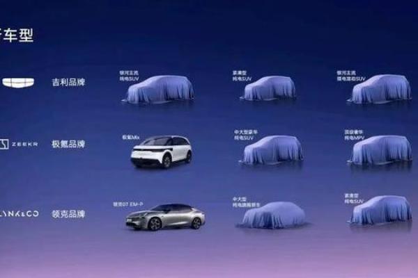 2007年：火猪年释放的新机遇与挑战