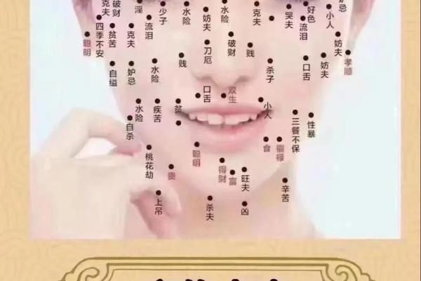 缘是命，命也是缘——探寻命运的交织与哲思