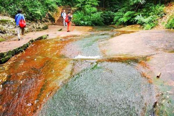 心动如潮,梦沉如水,探寻人生真谛之旅 心动如潮,梦沉如水,探寻人生真谛之旅
