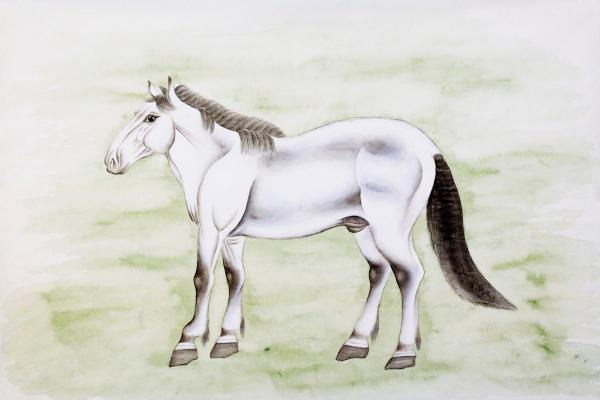 2014年马年出生的人：命运与性格的深度解析