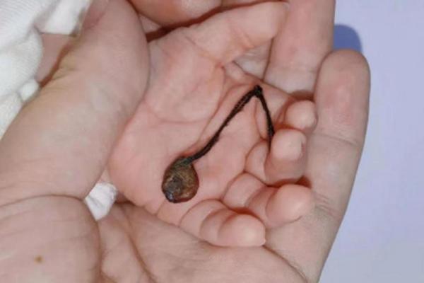 19851113出生的命运解析：探索生命的奇妙旅程与潜能