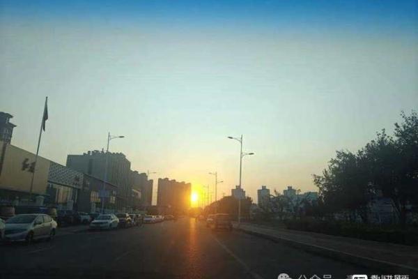 命理中的凤凰：超越美丽，象征重生与繁荣的神秘力量