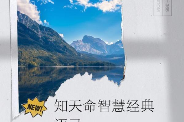 探索命格中的父母影响，揭示偏父母命格的奥秘与人生智慧