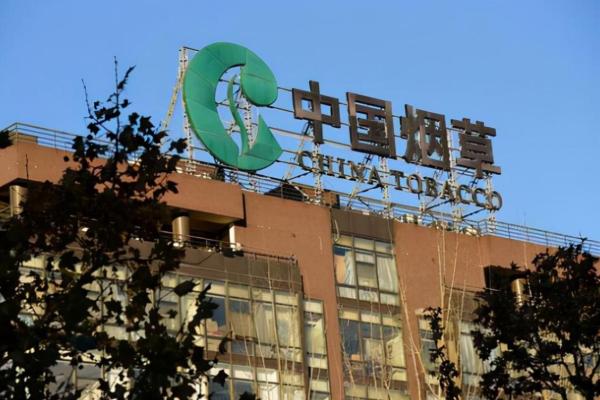 虎与龙的命理解析:土命的优势与挑战 虎与龙的命理解析:土命的优势与挑战