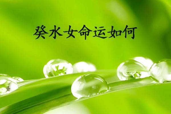 2025年属于什么水命：探寻五行之水的智慧与启示