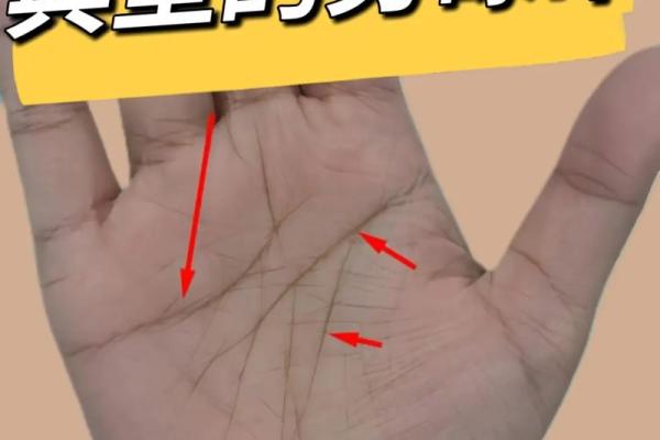 命掌纹:探索女生手掌中隐藏的命运秘密与最优人生轨迹 命掌纹:探索女生手掌中隐藏的命运秘密与最优人生轨迹