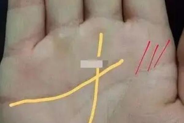 命掌纹:探索女生手掌中隐藏的命运秘密与最优人生轨迹 命掌纹:探索女生手掌中隐藏的命运秘密与最优人生轨迹