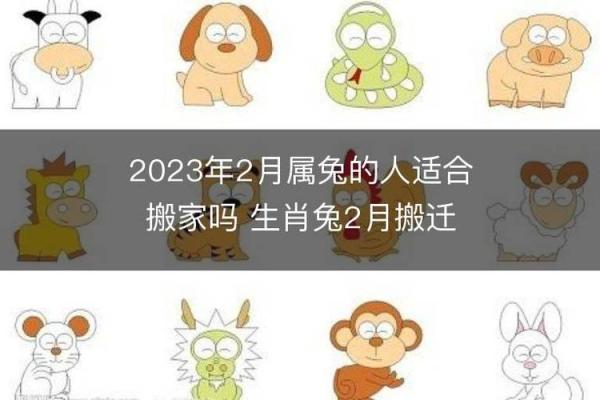 2013年命理解析:兔年出生人士的性格与命运 2013年命理解析:兔年出生人士的性格与命运