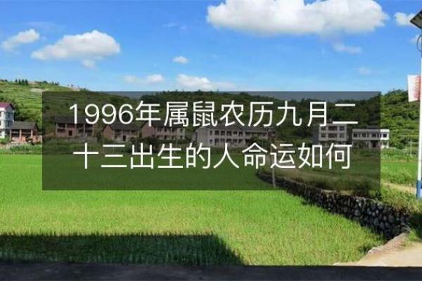 木鼠与金鼠命:命理中的差异与人生选择的影响 木鼠与金鼠命:命理中的差异与人生选择的影响