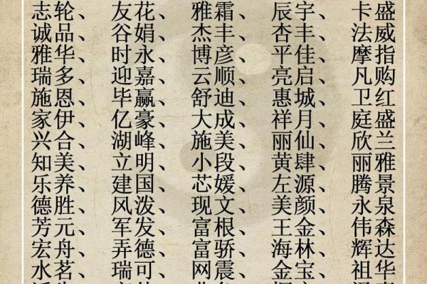 为什么说狗狗的命是木命?探秘狗狗的命理与性格之缘 为什么说狗狗的命是木命?探秘狗狗的命理与性格之缘