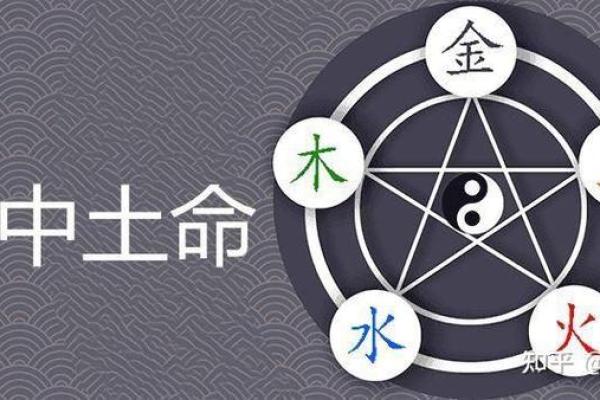 男沙中土命的最佳搭配:命理分析与情感指南 男沙中土命的最佳搭配:命理分析与情感指南