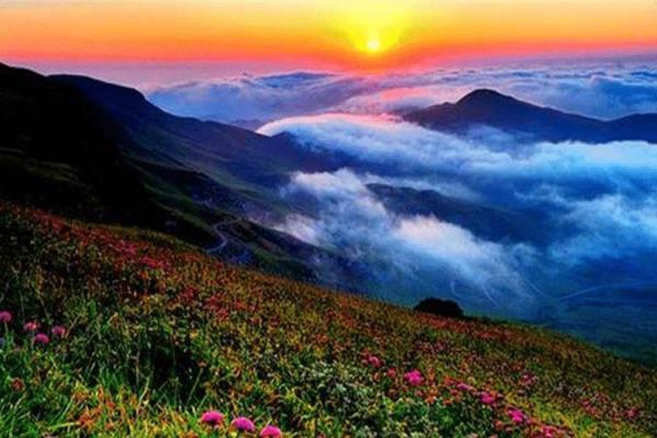 19920507出生的命运解析：揭示你的未来与潜力！