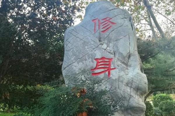 19720729出生的人生命运与性格探索