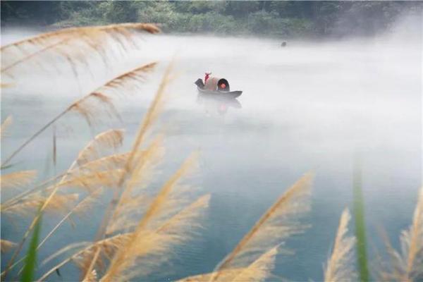 解密“压床”现象：你是否感受到无形的压力？