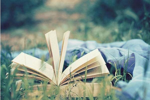 19900223出生的人生命运解析：迎接挑战与机遇的旅程