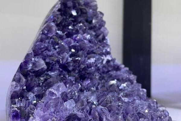 水木命旺财之花:助你招财聚财的绝佳选择! 水木命旺财之花:助你招财聚财的绝佳选择!