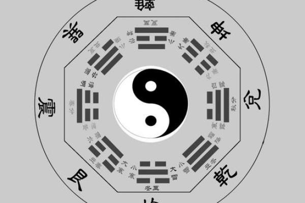 2022年虎年命理解析：探索你的性格与命运之路！