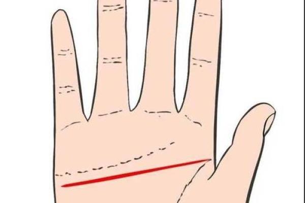 解密11.03出生者的命运与性格特征，探寻独特人生之路