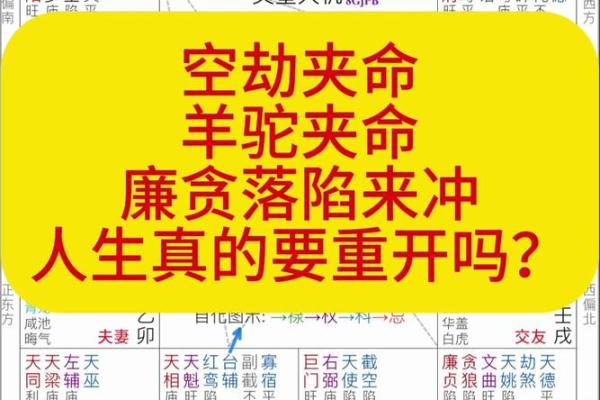 探秘命理学：紫薇入命的深远意义与人生启示