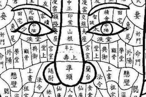 享福命与富贵命的深度解析：你属于哪一种？