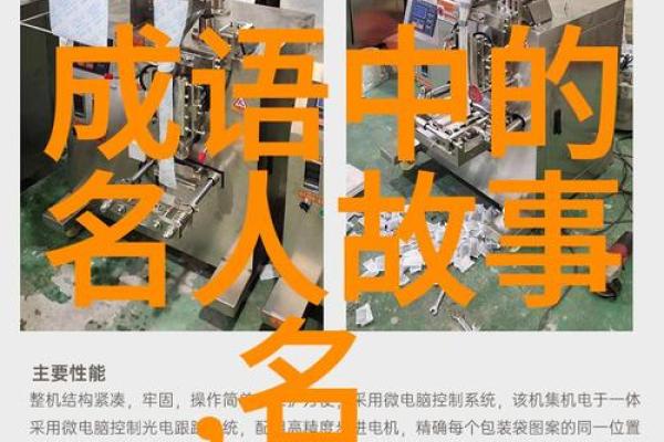 从什么到什么，命字成语中的智慧与启示