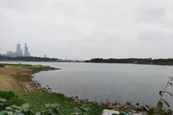 1958年木命的奇妙旅程:探索生命的力量与智慧 1958年木命的奇妙旅程:探索生命的力量与智慧