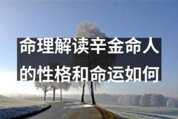 命运交织：解读“命似吾命”的深刻含义与人生启示