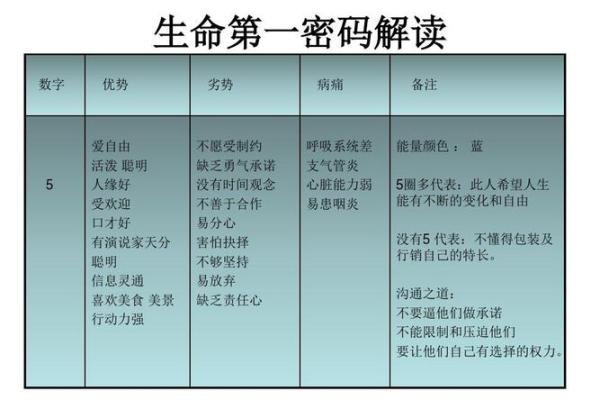 探寻19980719的命运之旅：你的生命密码是什么？