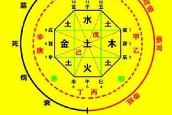 乙巳年生人如何利用格局提升命运，助力人生精彩纷呈！