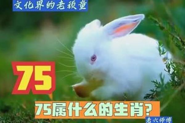 2030年属什么生肖？解读牛年命运与人生轨迹！