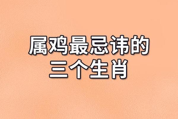 2007年属狗之人的命运解析：从事业到爱情的全面指导