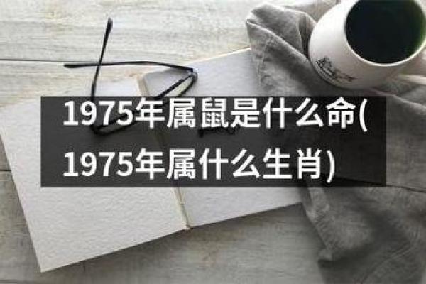 2019年鼠年命运解析：如何抓住机遇，迎接美好未来