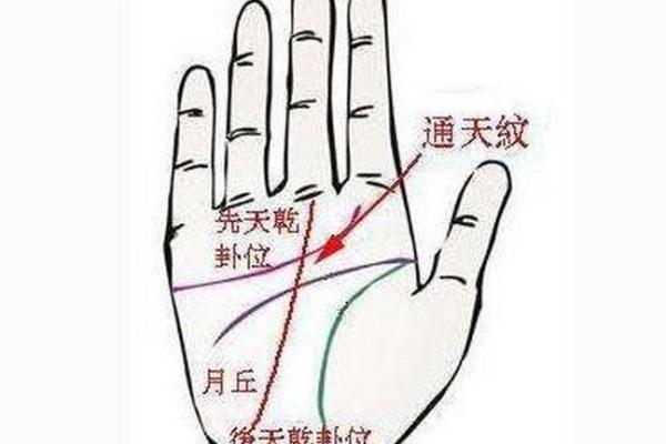探索2000726命运背后的神秘力量与生辰八字的关联