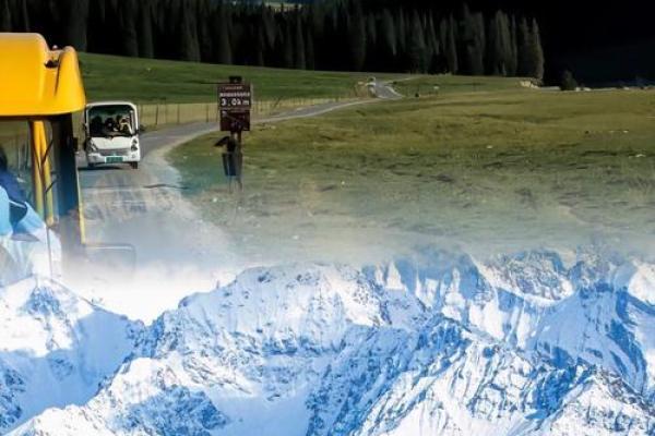 丁卯年：穿越木命的神秘之旅，探寻命理背后的智慧与奥秘