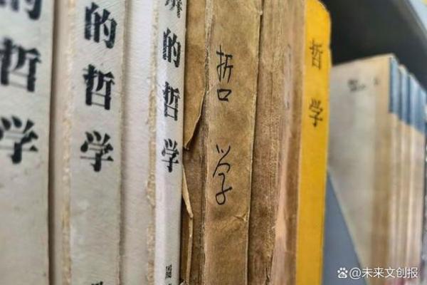 1984年出生的人生轨迹与命运探析：五行的启示与人生哲学