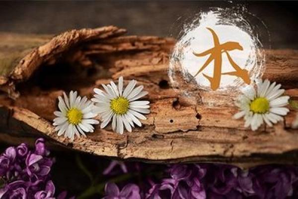 薄金命人与其他命局的完美合作秘笈 薄金命人与其他命局的完美合作秘笈