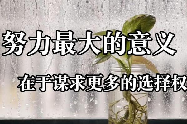 以日命为引，探寻成语的深邃智慧与人生哲理