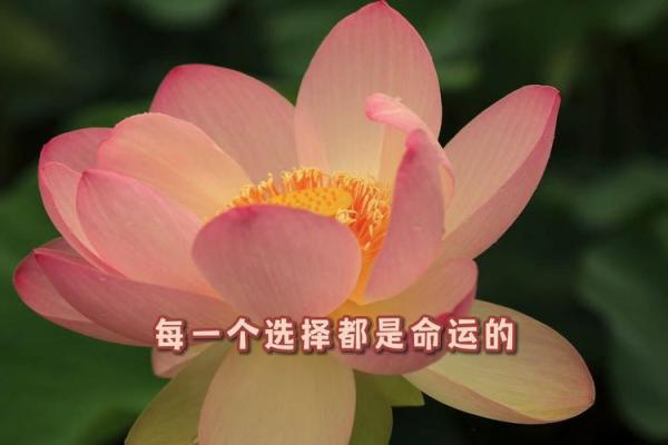 93年冬月24日：命运的转折点与人生的启示