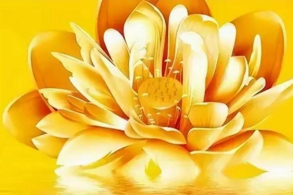 探寻19841225出生之人的命运与性格潜力 探寻19841225出生之人的命运与性格潜力