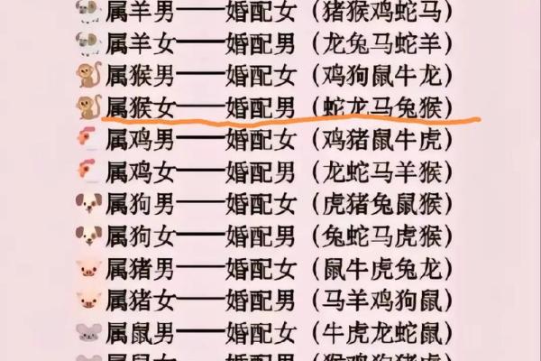 算命1992：属猴人的命运解析与未来展望